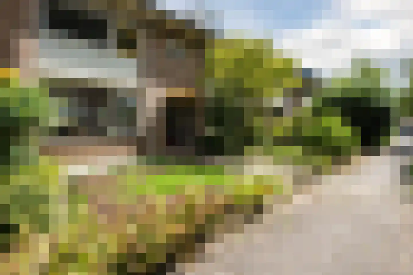 Parelvissersstraat 655 Apeldoorn thumbnail 40