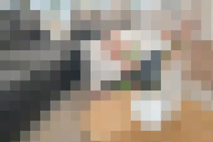Parijsboulevard 102 Utrecht thumbnail 26