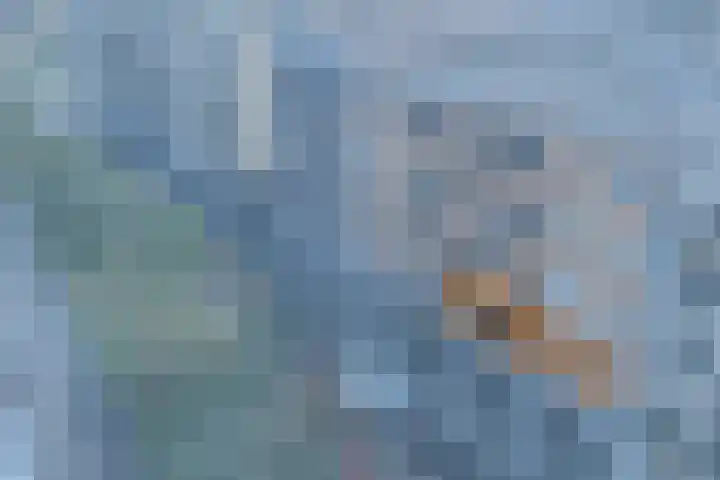 Parijsboulevard 102 Utrecht thumbnail 4