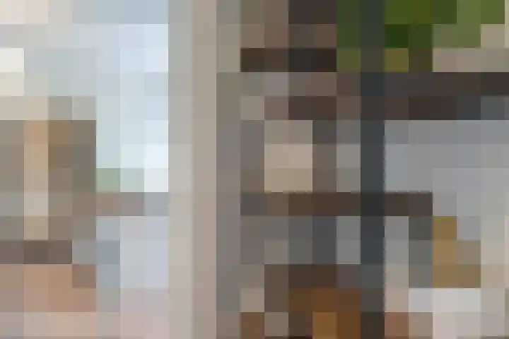 Parijsboulevard 102 Utrecht thumbnail 50