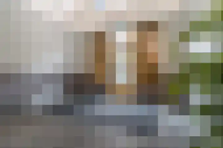 Parijsboulevard 102 Utrecht thumbnail 59