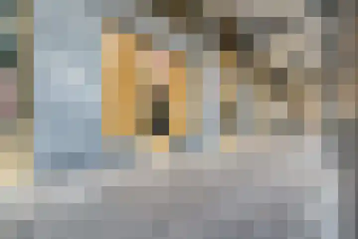 Parijsboulevard 102 Utrecht thumbnail 60