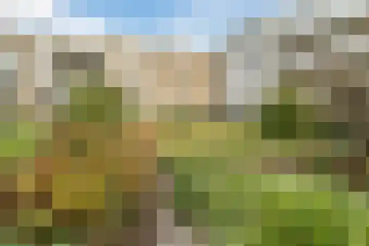 Parijsboulevard 102 Utrecht thumbnail 63