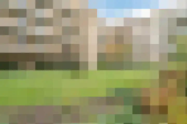 Parijsboulevard 102 Utrecht thumbnail 64