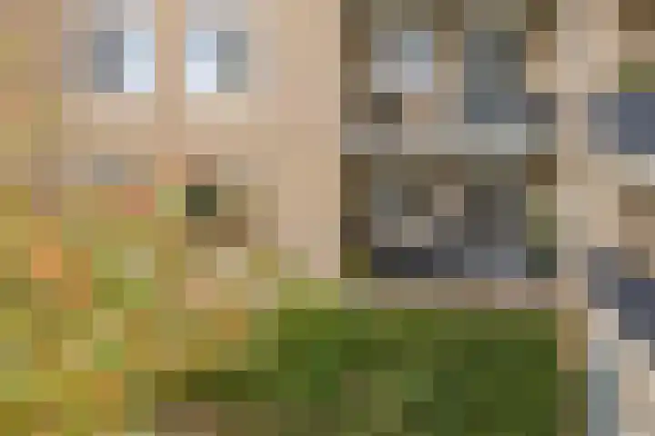 Parijsboulevard 102 Utrecht thumbnail 66