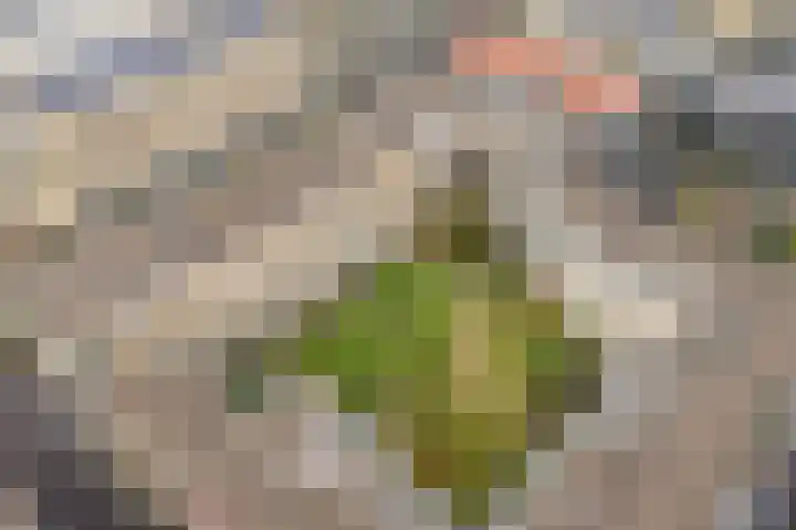 Parijsboulevard 102 Utrecht thumbnail 71