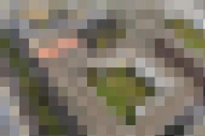Parijsboulevard 102 Utrecht thumbnail 72
