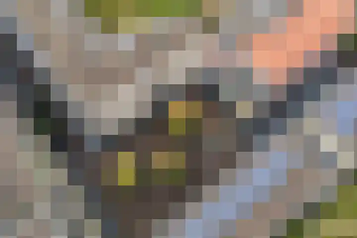 Parijsboulevard 102 Utrecht thumbnail 73
