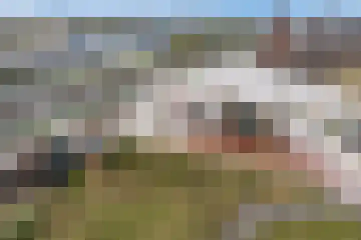 Parijsboulevard 102 Utrecht thumbnail 75