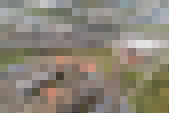 Parijsboulevard 102 Utrecht thumbnail 77