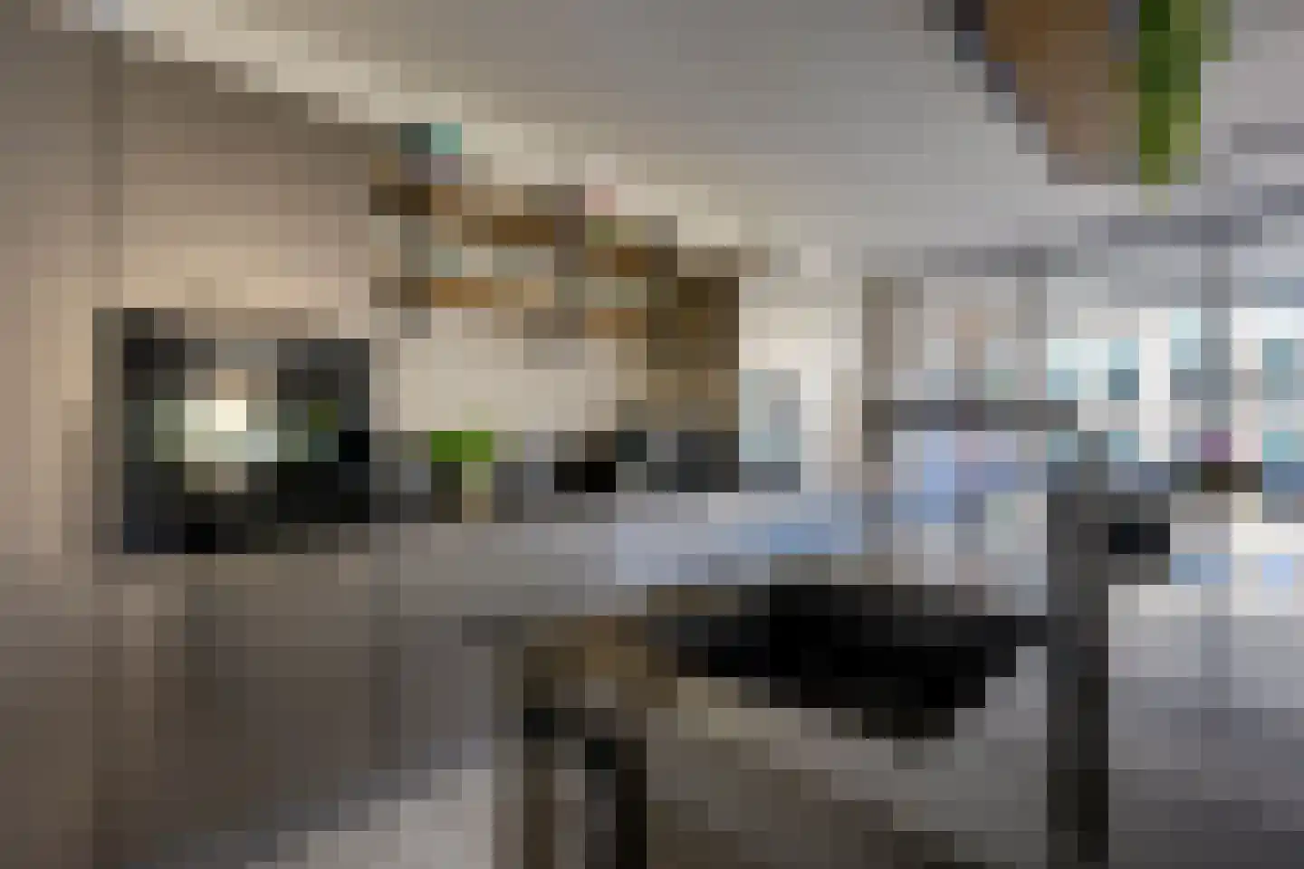 Parijsboulevard 126 Utrecht thumbnail 13