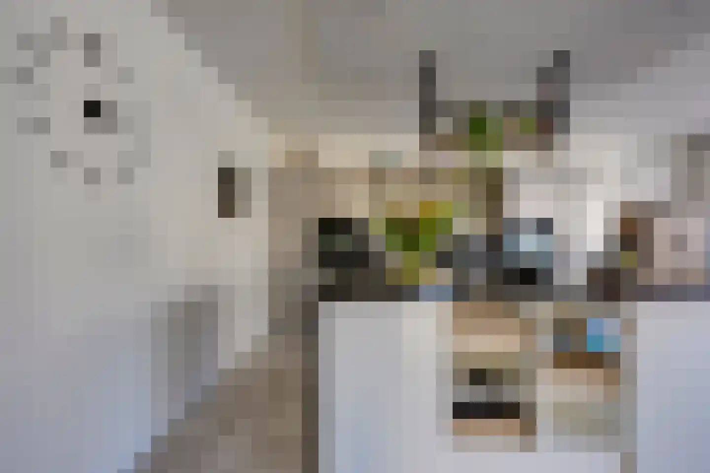 Parijsboulevard 126 Utrecht thumbnail 14