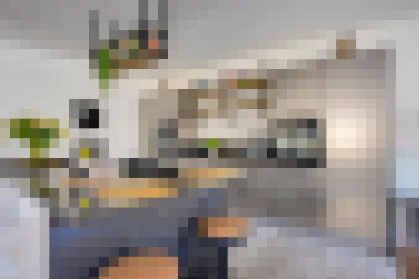 Parijsboulevard 126 Utrecht thumbnail 15