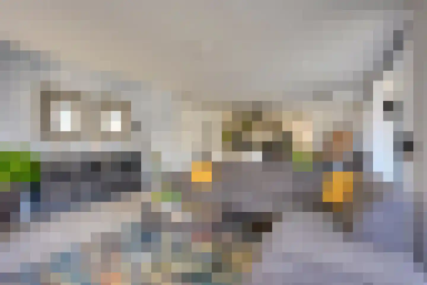 Parijsboulevard 126 Utrecht thumbnail 22
