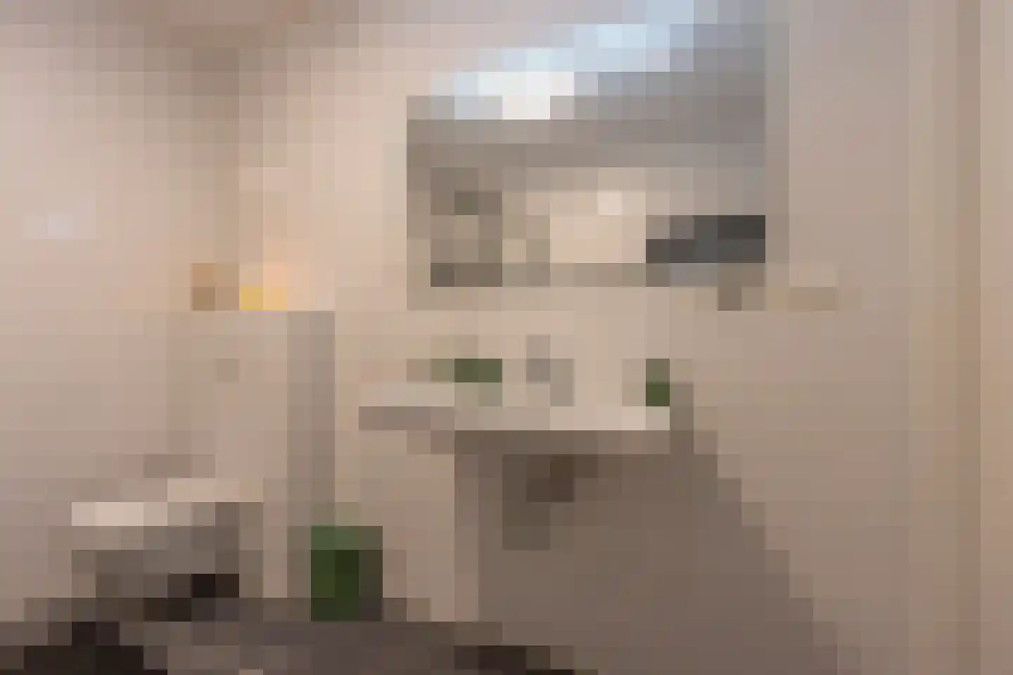 Parijsboulevard 126 Utrecht thumbnail 37