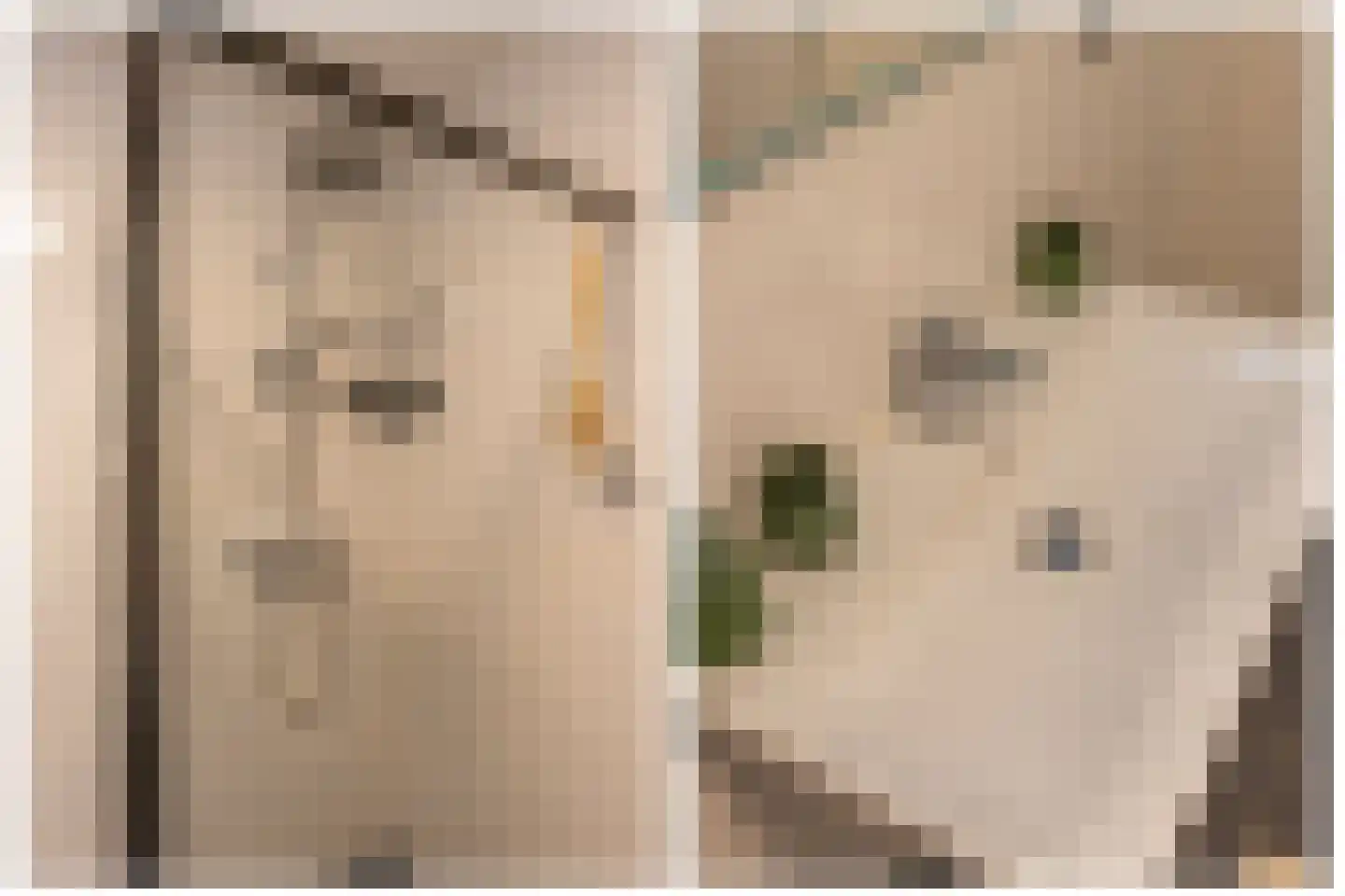 Parijsboulevard 126 Utrecht thumbnail 38
