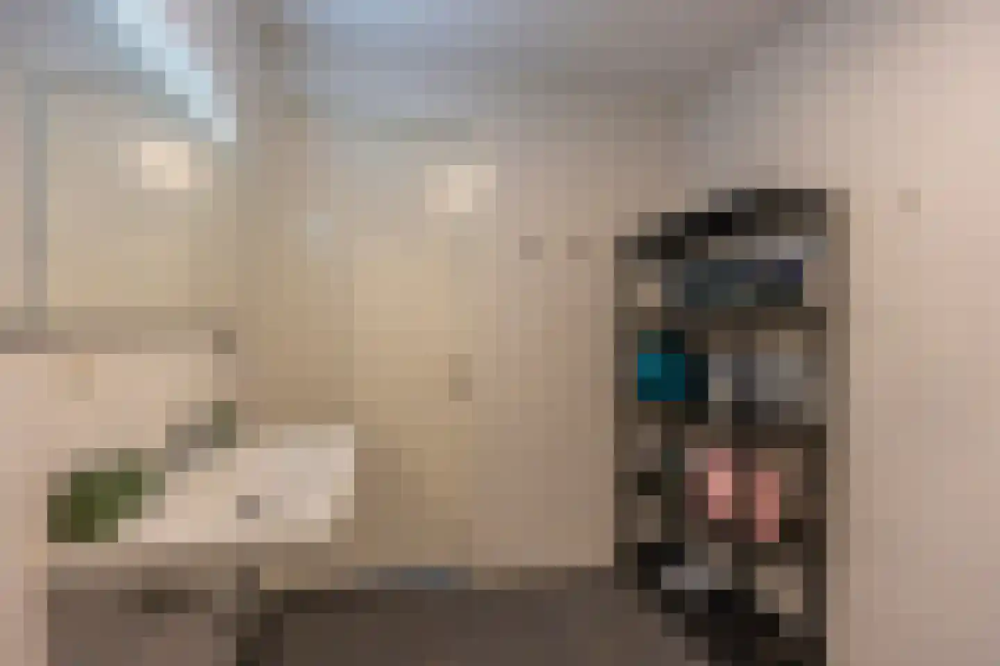 Parijsboulevard 126 Utrecht thumbnail 39