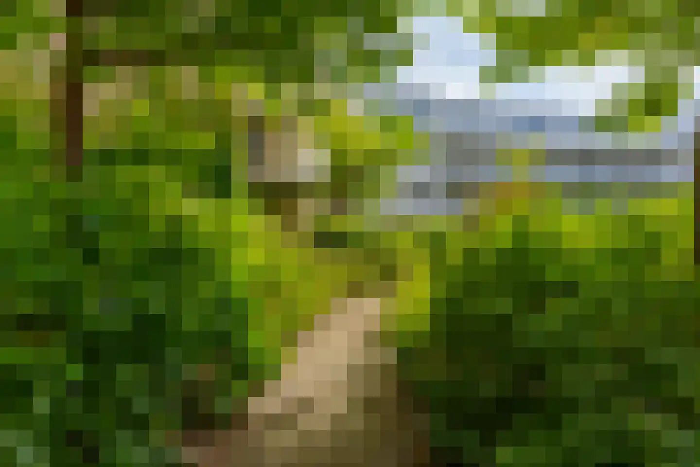 Parijsboulevard 126 Utrecht thumbnail 42