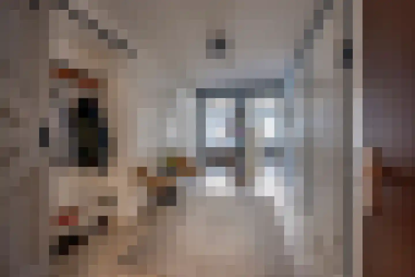 Parijsboulevard 126 Utrecht thumbnail 9