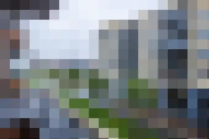 Parijsboulevard 165 Utrecht thumbnail 14