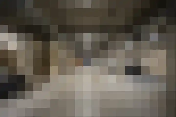 Parijsboulevard 165 Utrecht thumbnail 17