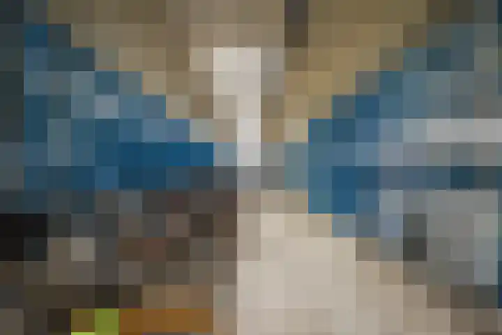 Parijsboulevard 165 Utrecht thumbnail 18