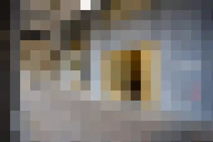 Parijsboulevard 165 Utrecht thumbnail 23