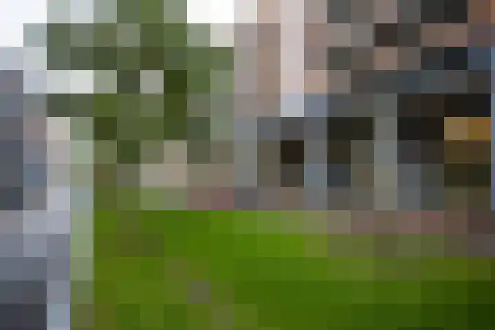 Parijsboulevard 165 Utrecht thumbnail 25