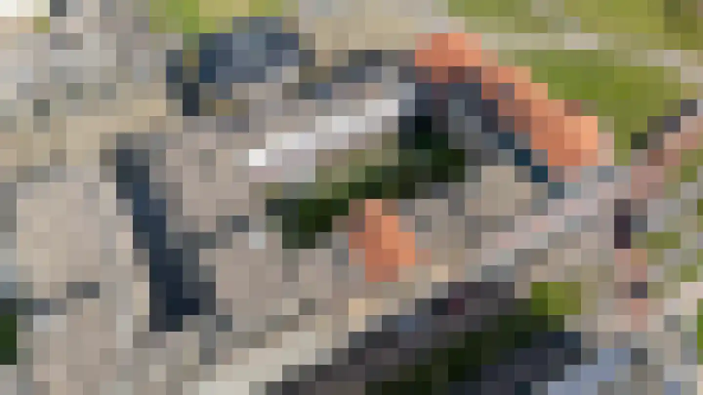 Parijsboulevard 175 Utrecht thumbnail 53