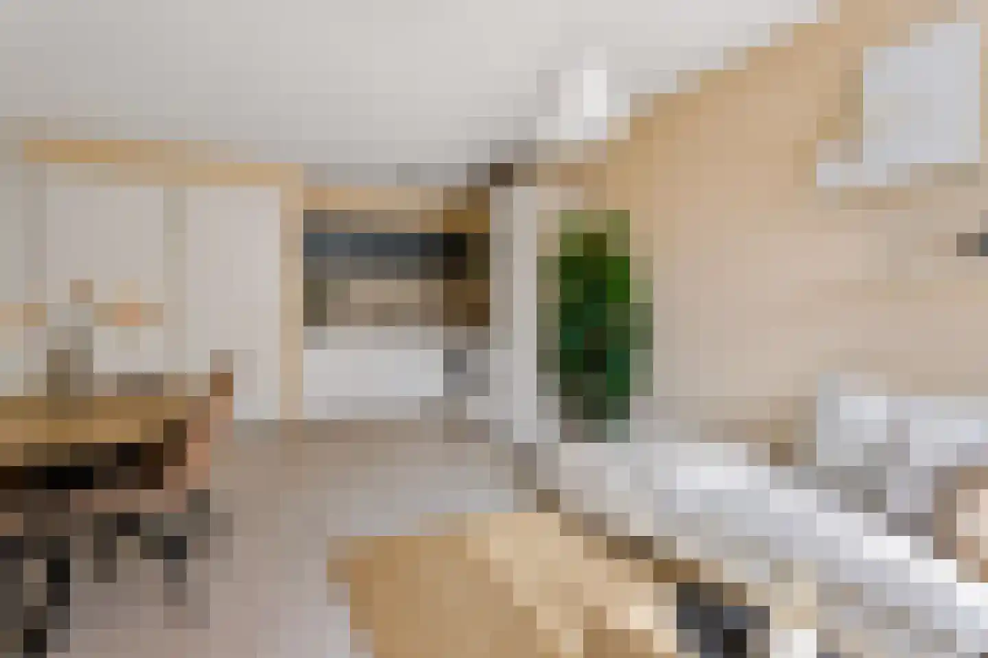 Parijsboulevard 181 Utrecht thumbnail 10