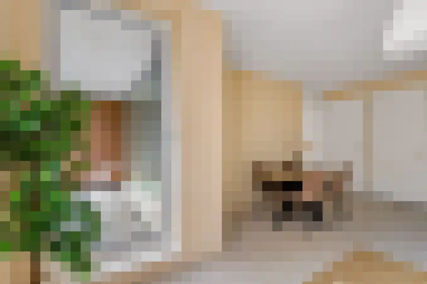 Parijsboulevard 181 Utrecht thumbnail 12