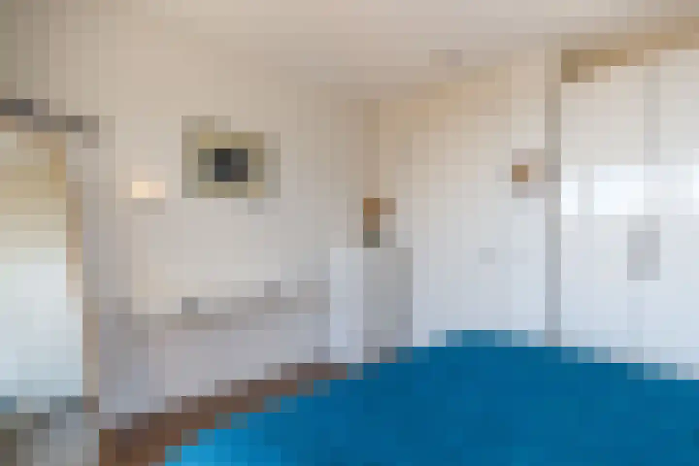 Parijsboulevard 187 Utrecht thumbnail 26