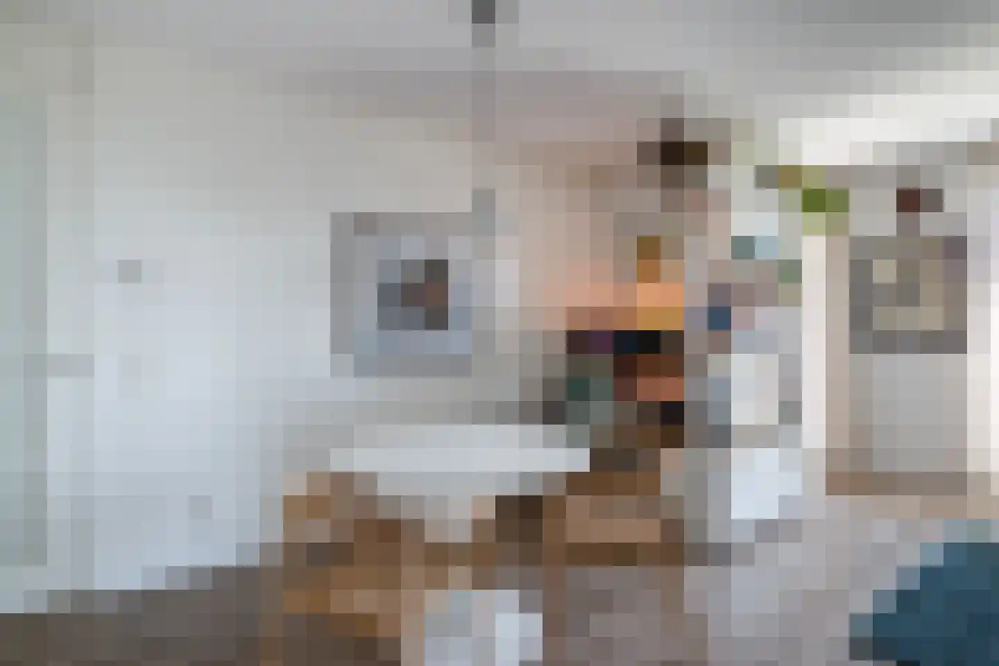Parijsboulevard 187 Utrecht thumbnail 7