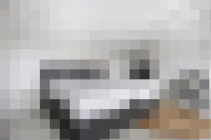 Parijseplein 15 Zwijndrecht thumbnail 33