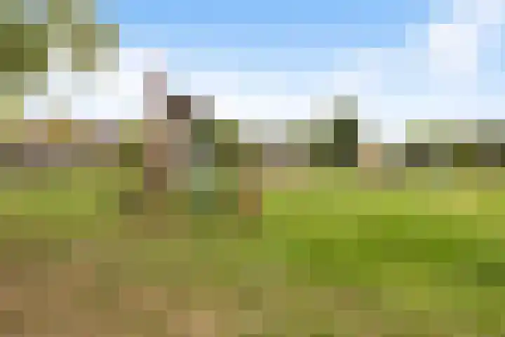 Parijseplein 15 Zwijndrecht thumbnail 37