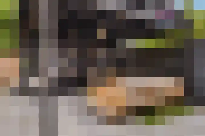 Parijseplein 15 Zwijndrecht thumbnail 4