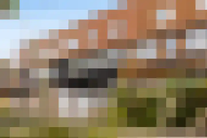 Parijseplein 15 Zwijndrecht thumbnail 5