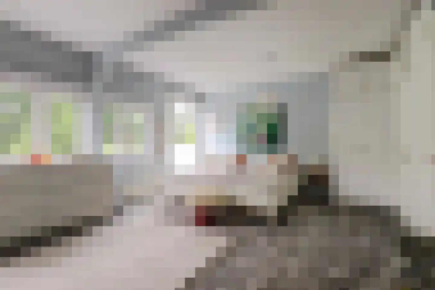 Parijseplein 48 Zwijndrecht thumbnail 20