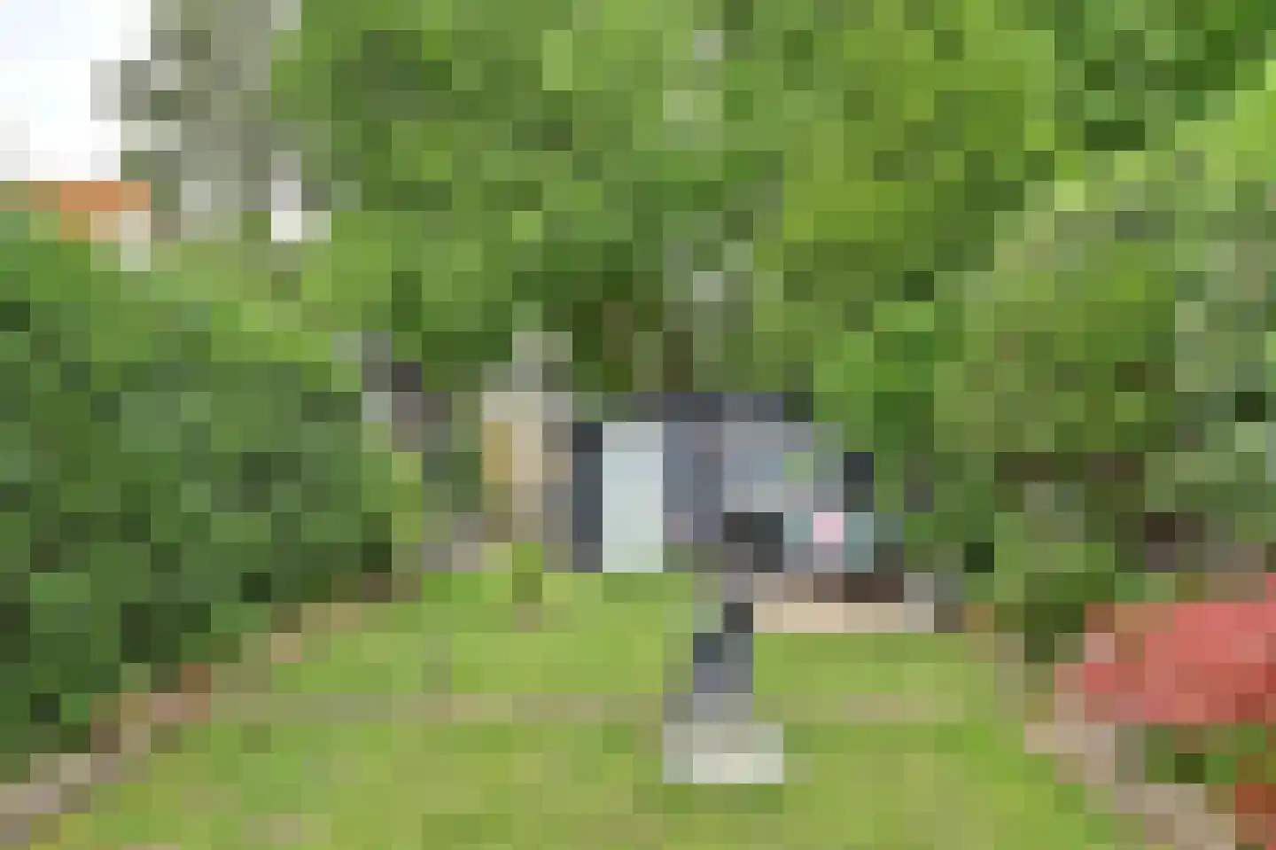 Parijseplein 48 Zwijndrecht thumbnail 35