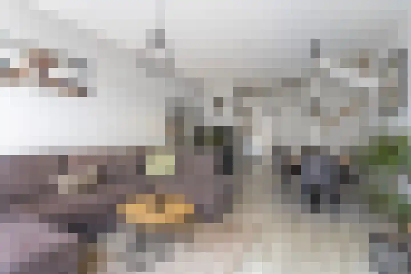 Parijseplein 53 Zwijndrecht thumbnail 6