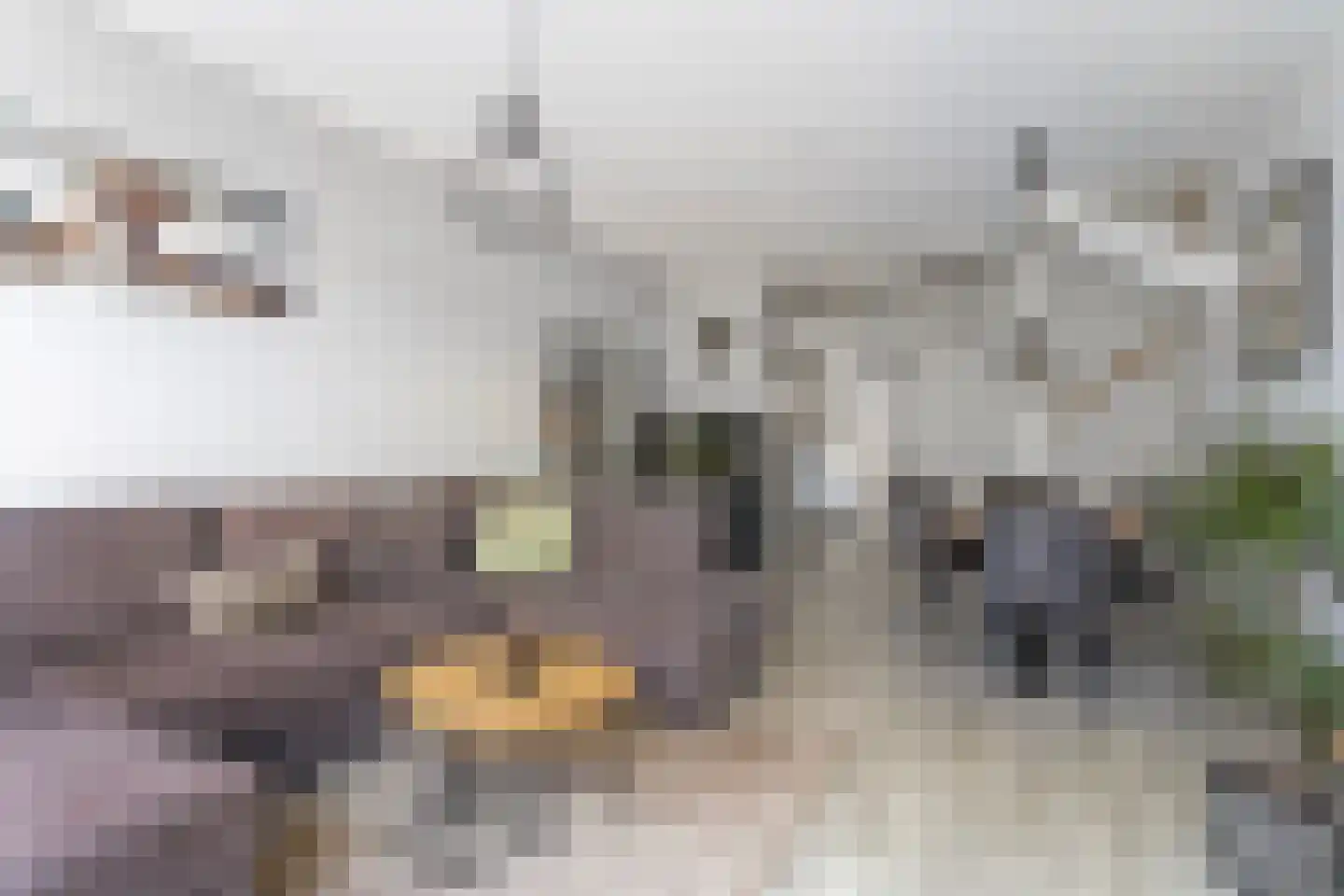 Parijseplein 53 Zwijndrecht thumbnail 6