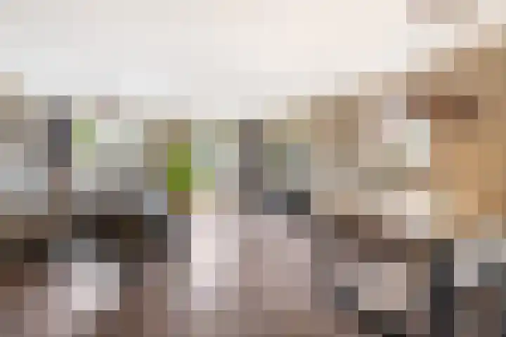 Parijslaan 31 Woerden thumbnail 10