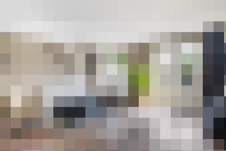 Parijslaan 31 Woerden thumbnail 11