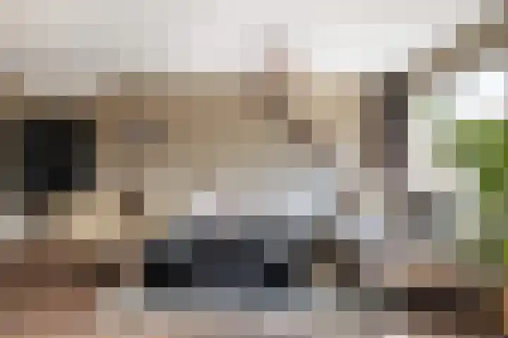 Parijslaan 31 Woerden thumbnail 12