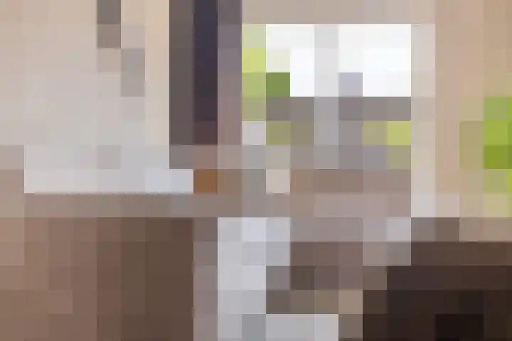 Parijslaan 31 Woerden thumbnail 13