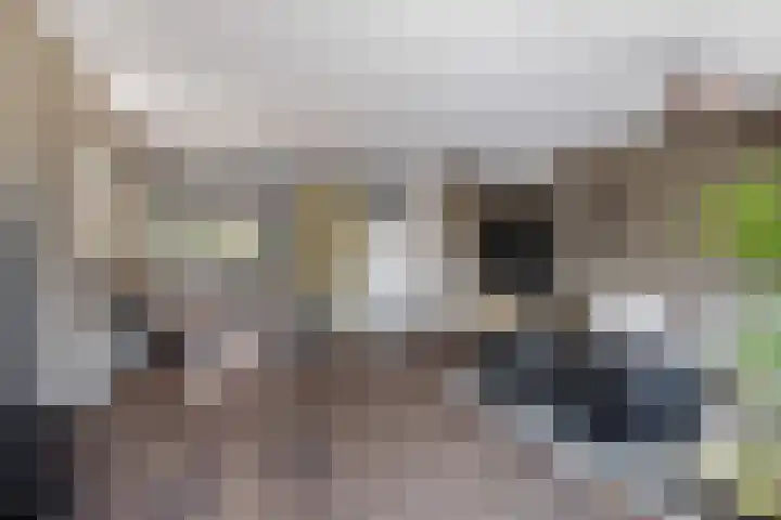 Parijslaan 31 Woerden thumbnail 14