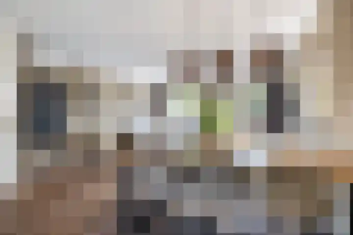 Parijslaan 31 Woerden thumbnail 17