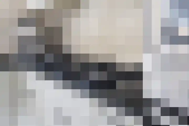 Parijslaan 31 Woerden thumbnail 22