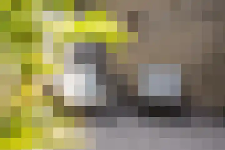 Parijslaan 31 Woerden thumbnail 24