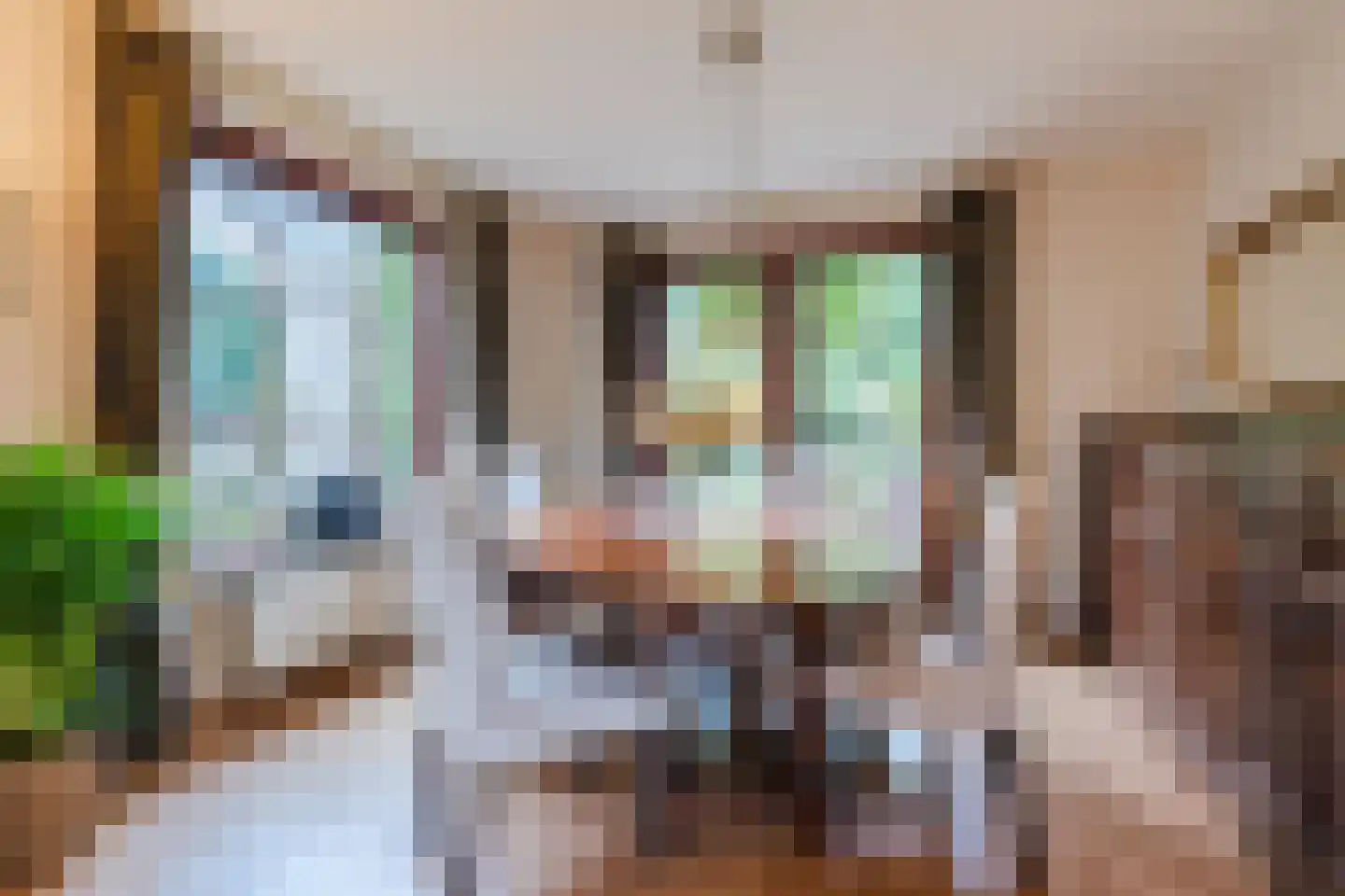 Parijslaan 59 Eindhoven thumbnail 12